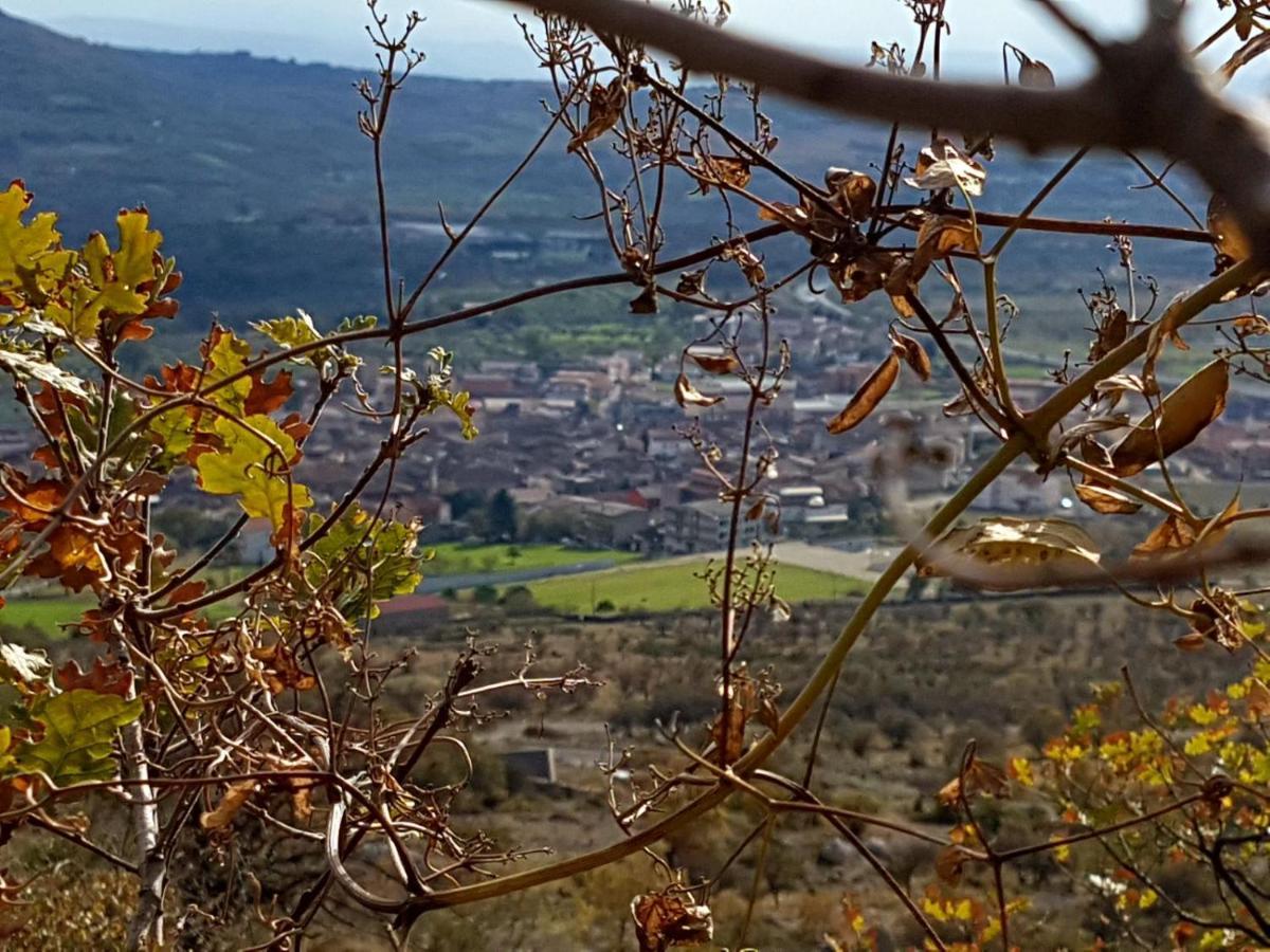 Il Vicoletto Bed & Breakfast Frascineto Eksteriør bilde