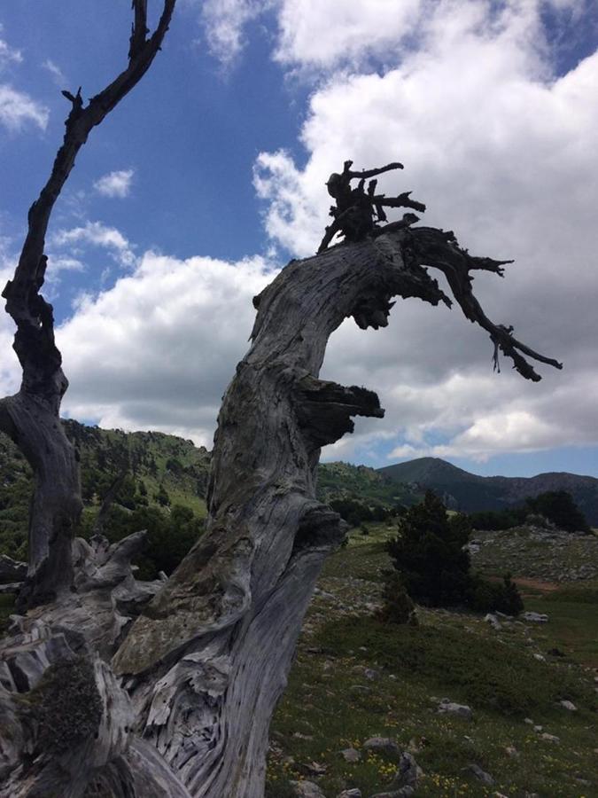 Il Vicoletto Bed & Breakfast Frascineto Eksteriør bilde